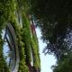 Flora by Crossroads Hotel, Kuala Lumpur - Photo 9