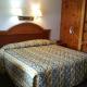 Sun N Snow Hotel, Cadillac (fotografie 10)