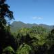 Mossman Gorge Bed and Breakfast