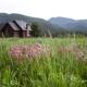 Homestake Lodge, Whitehall