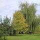 The Willows Wincanton - Photo 10