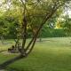Palm Village 134, Paramaribo (photo 4)