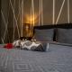 Highlight Suite City Center, Wiedeń (zdjęcie 9)