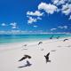 Bird Island Seychelles - Private Island Villas, Bird Island (fotografie 6)