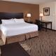 Holiday Inn Express & Suites Washington - Meadow Lands by IHG, Washington (foto 4)