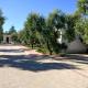 Tenuta Montincello, Vieste (Foto 9)