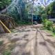 Forest Love, Quepos (fotografie 9)