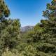 Homers Hideaway, Ruidoso (fotografie 3)