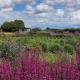 2 Bed in Yoxford oc-hharro, Yoxford (fotografie 6)