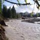 New Tiny Home Steps Away From Mt. Rainier, Ashford (foto 6)