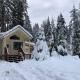 New Tiny Home Steps Away From Mt. Rainier, Ashford (foto 4)