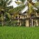 Uma Capung Mas Cottage Ubud - Photo 7