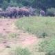 Ethili Lake view & Safari Camp, Wellawaya (foto 2)