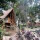 Pemsee's Tree Town - Eco Treehouse Hostel, Sauraha (Foto 9)