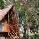 Pemsee's Tree Town - Eco Treehouse Hostel, Sauraha (Foto 8)