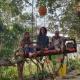 Pemsee's Tree Town - Eco Treehouse Hostel, Sauraha (Foto 5)