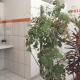 Paracas Backpackers House, パラカス - 写真 9