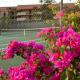 Maui Vista 1220, Kihei