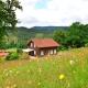 holiday house in the Bavarian Forest, Drachselsried - Photo 1