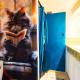 Space House & Surprise - Disneyland & Paris, Chalifert (foto 10)