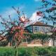 Deer Park Lookout - E3928, Thorpe Market (fotografie 2)