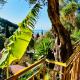 Tramonto Maisonettes & Suites, Parga (Foto 8)