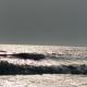 Seagull's Crest, Camber (photo 3)