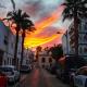 FlorCactus, Níjar (Foto 5)