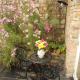 Wassail Barn Wedmore, Wedmore (fotografie 3)