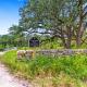 Wild Candy - Lil Dirt Cowboy, Wimberley (Foto 7)