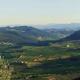 Podere Il Poggiolo, Rufina (fotografie 3)