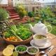 Lucky Monkey Lodge, Arusha (fotografie 4)