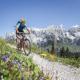 Pension Schnaitl, Maria Alm (photo 6)