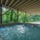 Secluded Luxury Home with Pool and Hot Tub in ASHEVILLE 15 min to Downtown, Asheville (fotografie 6)