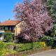 rest in a garden, Geneva (photo 5)