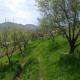 Le Fortin, Samarcanda (foto 10)