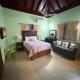 White House by White River, Ocho Rios (fotografie 9)