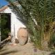 Maison Proche De Désert Douz, Douz (foto 6)