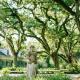 The Myrtles, Saint Francisville