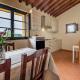 Ginepro Poderone, Grosseto (foto 10)
