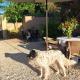 Cherche Midi, Noves (Foto 9)