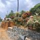 Moon moon Garden, Thamarassery (fotografie 10)