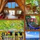 Real Jamaica - 5 Cabins right beside the sea, Oracabessa