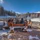 4429 Beaver Run Resort Breckenridge - Fotografie 7