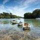 Central Falmouth Flat with Free Parking, Falmouth (photo 5)
