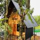 SPATHODEA, Vagamon (Foto 7)