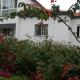 Tropical Fruit Garden, Velas (Foto 4)