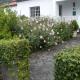 Tropical Fruit Garden, Velas (Foto 3)