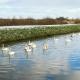 Field View, South Kyme (fotografie 4)
