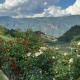 Garni San Paolo, Appiano sulla Strada del Vino (fotografie 9)